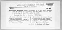 Image Associated With the Occurence
